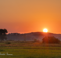 fileadmin/roha/images_galerie/stimmung-Sonne/Sonnenuntergang/SO-UN-HAARM-0002-2020-01-D-roha-Sonnenuntergang-Haarmoos-Stadel-Laufen-Leobendorf.png