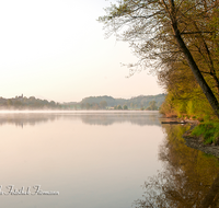 fileadmin/roha/images_galerie/orte_landschaft/Abtsdorf-Abtsdorfer-See/STIM-ABTS-SEE-0009-D-roha-Stimmung-Abtsdorf-See-Sonnenaufgang-Nebel.png