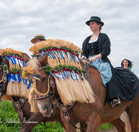 fileadmin/roha/images_galerie/brauchtum/Leonhardiritt/Holzhausen_01/BR-PFRI-HOLZ-2015-0067-1048-02-D-roha-Brauchtum-Pferdeumritt-Holzhausen-Teisendorf-Leonhardiritt-Reiterin.png