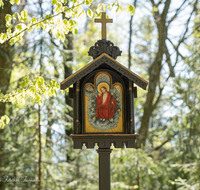 fileadmin/roha/images_galerie/kirche_religion/Tei-Wei-Rosenkranzweg/KKKM-TEI-WEI-ROS-12-0016-D-roha-Wegkreuz-Rosenkranz-Station-Teisendorf-Weildorf-Weg-Wald-Himmelfahrt.png