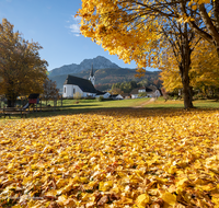 fileadmin/roha/images_galerie/orte_landschaft/Anger/Aufham/AUF-0012-0-20-D-roha-Aufham-Hochstaufen-Herbst-Kirche-Sonne.png