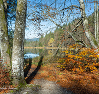 fileadmin/roha/images_galerie/orte_landschaft/Inzell/INZ-FRILL-0035-D-roha-Inzell-Frillensee-Herbst-Naturschutz-Wasser-See.png