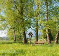 fileadmin/roha/images_galerie/kirche_religion/Teisendorf/KKKM-TEIS-0023-D-roha-Wegkreuz-Teisendorf-Karlsbach-Bank-Blumenwiese.png