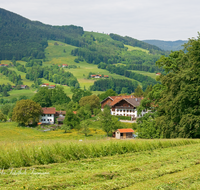 fileadmin/roha/images_galerie/orte_landschaft/Anger/Anger/Anger-Landschaft/LANDS-ANG-0025-D-roha-Landschaft-Anger-Prasting-Blumenwiese.png