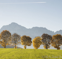 fileadmin/roha/images_galerie/Hintergrund-Download/1600x1200/LANDS-ANG-STEINH-0015-D-roha-Landschaft-Anger-Steinhoegl-Hochstaufen-Zwiesel-Herbst-Allee-Baum.jpg