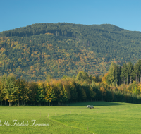 fileadmin/roha/images_galerie/Baum-natur-garten/Baeume/LANDS-TEISB-0002-D-roha-Landschaft-Teisenberg-Herbst-Wald.png