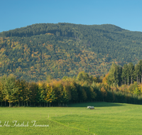 fileadmin/roha/images_galerie/Baum-natur-garten/Baeume/LANDS-TEISB-0002-D-roha-Landschaft-Teisenberg-Herbst-Wald.png