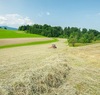 fileadmin/roha/images_galerie/Landwirtschaft/LANDW-MASCH-0042-D-roha-Landwirtschaft-Neukirchen-Au-Traktor-Heu.png