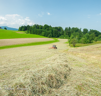 fileadmin/roha/images_galerie/Landwirtschaft/LANDW-MASCH-0042-D-roha-Landwirtschaft-Neukirchen-Au-Traktor-Heu.png