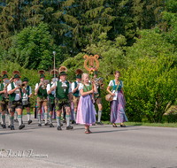 fileadmin/roha/images_galerie/musik/Blasmusik/MU-BLA-WEISSB-PID-2018-0948-01-D-roha-Musik-Blasmusik-Weissbach-Piding-Festzug.png