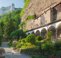 fileadmin/roha/images_galerie/orte_landschaft/Salzburg/St-Peter-Katakomben/SA-STPETER-FRIED-0010-D-roha-Salzburg-Friedhof-St-Peter-Festung-Katakomben.png