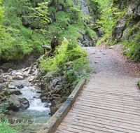 fileadmin/roha/images_galerie/wege/SCHNEILZL-WA-BA-WE-0011-D-roha-Schneizlreuth-Weissbach-Waldbahnweg-Bruecke-Weg.png