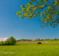 fileadmin/roha/images_galerie/orte_landschaft/Waging/WAG-TACH-MAU-0001-D-roha-Waging-am-See-Taching-Mauerham-Fruehling-Landschaft.png