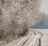 fileadmin/roha/images_galerie/Winter/WINT-TEI-UF-0008-D-roha-Winter-Teisendorf-Ufering-Weg-Schnee.png