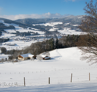 fileadmin/roha/images_galerie/Winter/AN-WI-FELB-0003-D-roha-Anger-Felber-Dorf-Teisenberg-Panorama-Winter-Schnee.png