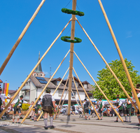 fileadmin/roha/images_galerie/brauchtum/Maibaum/Teisendorf/BR-MAIB-TEI-0076-1-D-roha-Brauchtum-Maibaum-Teisendorf-Marktplatz-Tracht.png