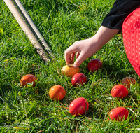 fileadmin/roha/images_galerie/brauchtum/Ostern/BR-OST-EIER-101-1049-1-D-roha-Brauchtum-Ostern-Ostereier-Scheiben-Rechenstiel.png