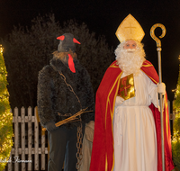 fileadmin/roha/images_galerie/brauchtum/Weihnachten/BR-WEIH-NIKOL-0012-02-D-roha-Brauchtum-Weihnachten-Nikolaus-Krampus.png