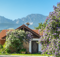 fileadmin/roha/images_galerie/Baum-natur-garten/Haus-Blumenschmuck-Deko/LANDA-BLUMENSCHM-UFERING-0030-11-D-roha-Landart-Blumenschmuck-Bauernhaus-Enzianbaum.png