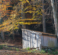 fileadmin/roha/images_galerie/dies_das/LANDA-STAD-HOEGLW-0001-D-roha-Landart-Stadel-Hoeglwoerth-Herbst-Wald.png