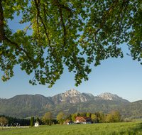 fileadmin/roha/images_galerie/orte_landschaft/Anger/Anger/Anger-Landschaft/LANDS-ANG-HOEGL-0001-D-roha-Landschaft-Anger-Hoegl-Hochstaufen-Zwiesel.png