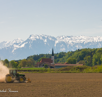 fileadmin/roha/images_galerie/Landwirtschaft/LANDW-MASCH-MAIS-0018-D-roha-Landwirtschaft-Mais-saeen-Niederheining-Untersberg.png