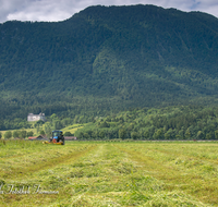 fileadmin/roha/images_galerie/Landwirtschaft/LANDW-MASCH-PID-0003-D-roha-Landwirtschaft-Piding-Maehen-Schloss-Staufeneck.png