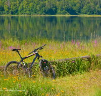 fileadmin/roha/images_galerie/orte_landschaft/Reit_im_Winkl/REIT-IM-WI-WEITS-0014-D-roha-Reit-im-Winkl-Weitsee-Herbst-Wasser-See-Mountainbike-Blumenwiese.png