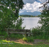 fileadmin/roha/images_galerie/orte_landschaft/Abtsdorf-Abtsdorfer-See/ABTS-SEE-0003-09-D-roha-Abtsdorfer-See-Hochstaufen-Zwiesel-Wolken-Bank.png