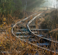 fileadmin/roha/images_galerie/orte_landschaft/Ainring/AINR-MOOR-0004-8-04-D-roha-Ainring-Moor-Torf-Boggerlbahn-Gleis-Herbst.png