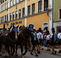 fileadmin/roha/images_galerie/orte_landschaft/Teisendorf/Gaufest-GauverbandI-Freitag14.-Sonntag23.Juli2023/BR-GAUFEST-TEIS-2023-3-1158-03-D-roha-Tracht-Gaufest-Teisendorf.png