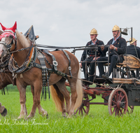 fileadmin/roha/images_galerie/brauchtum/Leonhardiritt/Holzhausen_01/Kaltblutfest/BR-PFRI-HOLZ-KALTBL-2015-1129-02-03-D-roha-Brauchtum-Kaltblut-Pferd-Kutsche-Holzhausen-Teisendorf-Feuerwehr.png