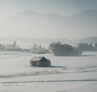 fileadmin/roha/images_galerie/orte_landschaft/Haarmoos/HAARM-WI-0035-D-roha-Laufen-Saaldorf-Haarmoos-Winter-Stadel-Schnee-Hochstaufen-Zwiesel.png