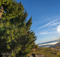 fileadmin/roha/images_galerie/orte_landschaft/Stoisser-Alm/KKKM-TEIS-STOISS-0023-20-D-roha-Gipfel-Kreuz-Teisenberg-Stoisser-Alm-Sonne.png