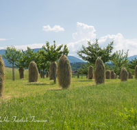 fileadmin/roha/images_galerie/Landwirtschaft/LANDW-HEU-HIEF-0002-D-roha-Landwirtschaft-Streuobstwiese-Heu-Ernte-Hiefel-Marquartstein.png