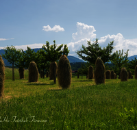 fileadmin/roha/images_galerie/Landwirtschaft/LANDW-HEU-HIEF-0002-D-roha-Landwirtschaft-Streuobstwiese-Heu-Ernte-Hiefel-Marquartstein.png