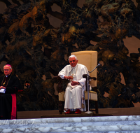 fileadmin/roha/images_galerie/Menschen/PAPST-ROM-0001-D-roha-Papst-Rom-Audienz-Benedikt-XVI.png