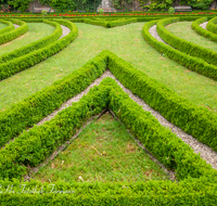 fileadmin/roha/images_galerie/orte_landschaft/Salzburg/Mirabell-Zwergerlgarten/SA-MIRA-GART-RAB-0014-D-roha-Salzburg-Schloss-Mirabell-Garten-Buchs-Rabatte.png