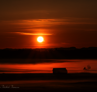 fileadmin/roha/images_galerie/stimmung-Sonne/Sonnenaufgang/SO-AU-HAARM-0015-13-D-roha-Sonne-Sonnenaufgang-Haarmoos-Nebel.png