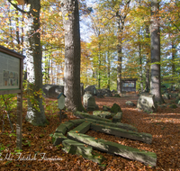 fileadmin/roha/images_galerie/orte_landschaft/Teisendorf/Geo-Park-Lehrpfad/TEI-GEOL-GAR-0005-D-roha-Teisendorf-Geologischer-Garten-Findlinge-Steine-Sandstein.png