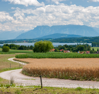 fileadmin/roha/images_galerie/orte_landschaft/Waging/WAG-SEE-0005-3-D-roha-Waginger-See-Panorama-Bicheln-Untersberg-Hochstaufen-Zwiesel-Weg-Getreide-Feld-Hafer.png