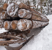 fileadmin/roha/images_galerie/Landwirtschaft/Forst-Holzknecht/HOLZKNE-HAM-DET-0003-D-roha-Holzknecht-Schlitten-Winter-Siegsdorf-Hammer-Winterzug.png