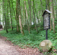 fileadmin/roha/images_galerie/kirche_religion/Ainring-Kreuzweg/KKKM-AINR-KR-06-0028-D-roha-Kreuzweg-Ainring-Ulrichshoegl-Wald-Weg.png