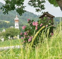 fileadmin/roha/images_galerie/kirche_religion/Anger/KKKM-ANG-OBERENG-0005-D-roha-Bildstock-Anger-Oberenglhaeng-Hoeglwoerth-Bildstock-Wegkreuz-Eiche-Strauchrose.png