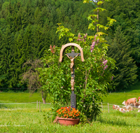 fileadmin/roha/images_galerie/kirche_religion/Weildorf/KKKM-WEIL-UNTERH-0004-D-roha-Wegkreuz-Weildorf-Unterholzen-Kuh-Landwirtschaft.png