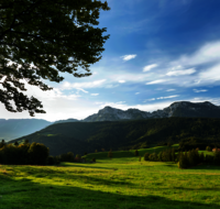 fileadmin/roha/images_galerie/Hintergrund-Download/LANDS-ANG-NEUH-0024-D-roha-Landschaft-Anger-Neuhaus-Hochstaufen-Bank-Kuh-Herde.png