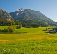 fileadmin/roha/images_galerie/orte_landschaft/Ruhpolding/RUH-FROSCHS-0012-D-roha-Ruhpolding-Landschaft-Froschsee-Wasser-Blumenwiese-Bauernhof.png