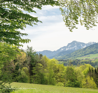 fileadmin/roha/images_trauerdruck/Trauerdruck1/Trauerdruck1-60-Bilder-2/Sterbebild-Teisendorf-Schelmberg-Hochstaufen.png