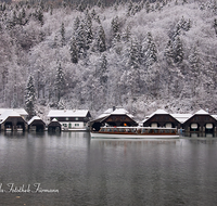 fileadmin/roha/images_galerie/orte_landschaft/Berchtesgaden/Koenigssee/BGD-KOE-SCHIFF-0001-0-0-2-D-roha-Berchtesgaden-Koenigssee-Schifffahrt-Bootshuette-Seelaende-Winter-Schnee.png