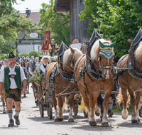 fileadmin/roha/images_galerie/brauchtum/Leonhardiritt/Holzhausen_01/Holzhausen-Ritt-2019/BR-PFRI-HOLZ-2019-1054-05-D-roha-Brauchtum-Pferdeumritt-Leonhardiritt-Holzhausen-Teisendorf.png